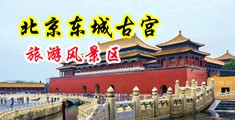 美女,网站禁止看操B中国北京-东城古宫旅游风景区
